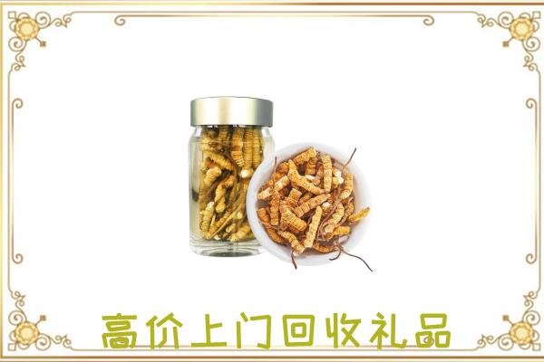 莲湖区周边回收虫草